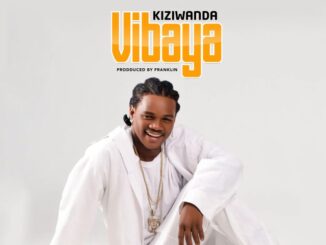 Kiziwanda Vibaya mp3 Download Fakaza