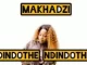 Makhadzi Ndindothe Ndindothe Mp3 Download Fakaza