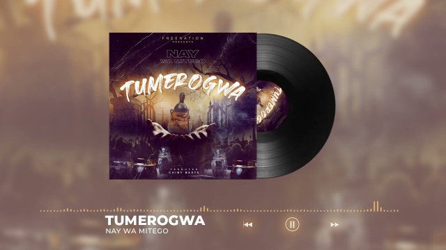 Nay Wa Mitego Tumerogwa Mp3 Download Fakaza