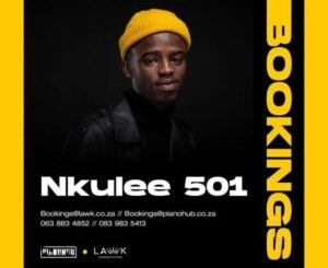 Download Nkulee501 & Skroef28 MSE 5th MP3 Fakaza