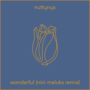 Download Nutty Nys Wonderful (Nini Maluks Remix) MP3 Fakaza