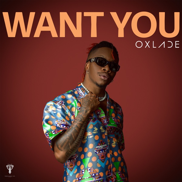 Oxlade Want You Mp3 Download fakaza