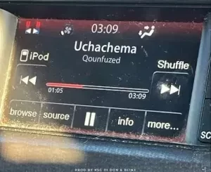 Download Qounfuzed Uchachema MP3 Fakaza
