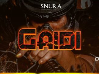 Snura Gaidi Mp3 Download Fakaza