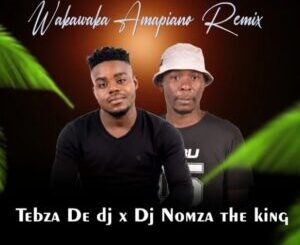 Download Tebza De DJ WakaWaka Amapiano Remix MP3 Fakaza