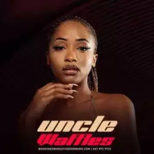 Download Uncle Waffles Tanzania (Promo Mix) MP3 Fakaza