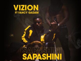 Vizion Sapashini Ft Fancy Gadam Mp3 Download Fakaza