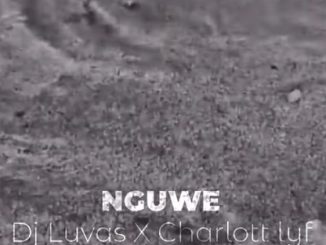 Dj Luvas X Charlott lyf  Nguwe (Pro-Tee’s Gqom Revisit) Mp3 Download Fakaza