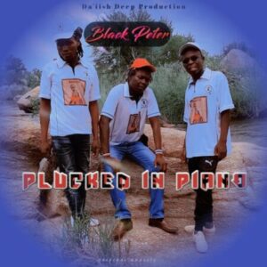 Black Peter Plucked In Piano Zip EP Download Fakaza