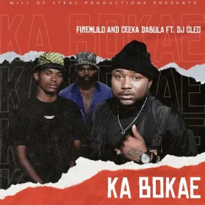 Download FireMlilo & Ceeka Dabula Ka Bokae MP3 Fakaza