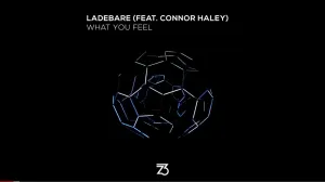 Ladebare What You Feel (Extended Mix) Ft. Connor Haley Mp3 Download Fakaza