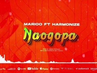 Marioo ft Harmonize Naogopa mp3 Download Fakaza
