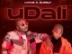 Muvo De Icon & SL Wayi Udali ft. Lwami & Bubbly Mp3 Download