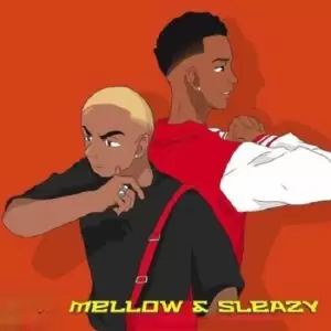 Robot Boii Salary Salary (Preview) ft. Mellow and Sleazy Mp3 Download Fakaza