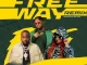 Tripsy Freeway (Remix) Ft. Lady Du, Davido, Pee Raven Mp3 Download Fakaza