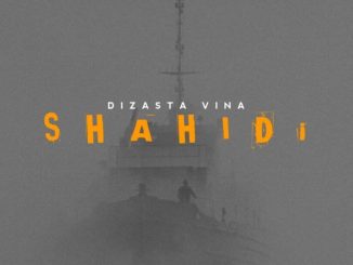 Dizasta Vina Shahidi Mp3 Download Fakaza