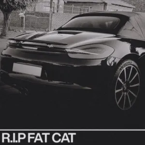 Thato Saul R.I.P. Fat Cat Mp3 Download Fakaza