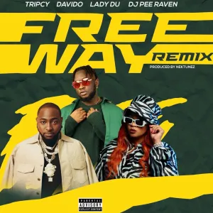 Tripcy Ft Lady Du & Davido Freeway ft DJ Pee Raven