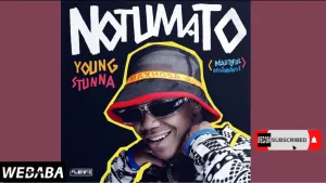 Young Stunna Ft. Dj Webaba Notumato (Full Album Mix) Mp3 Download Fakaza