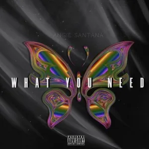 Angie Santana What You Need Mp3 Download Fakaza
