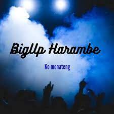 DOWNLOAD BigUp Harambe Kae kapa Kae (Official Audio) Mp3