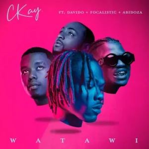 CKay Ft. Davido, Focalistic & Abidoza Watawi Mp4 Download Video