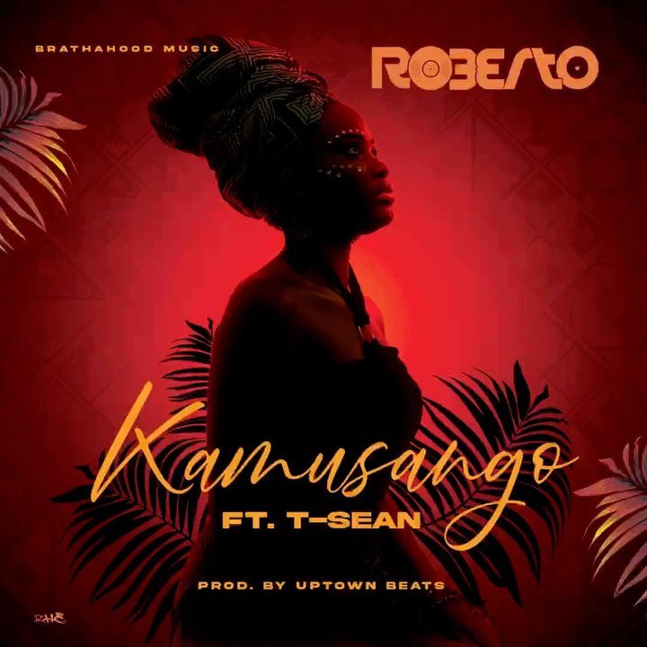 Roberto ft T Sean Kamusango Mp3 Download Fakaza