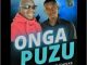 DJ BobWilly & Mr Chivas – Onga Phuzu Mp3 Download Fakaza