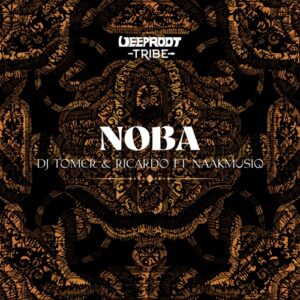 DJ Tomer & Ricardo – Noba ft. NaakMusiQ Mp3 Download Fakaza