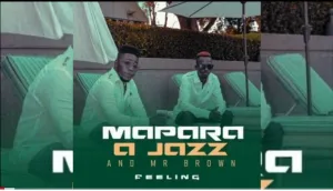 Mapara A Jazz Feeling ft. Mr Brown Mp3 Download Fakaza