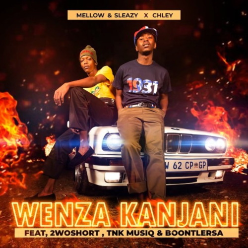 Mellow & Sleazy Wenza Kanjani ft. Chley, 2woshort, TNK MusiQ & Boontle RSA Mp3 Download Fakaza