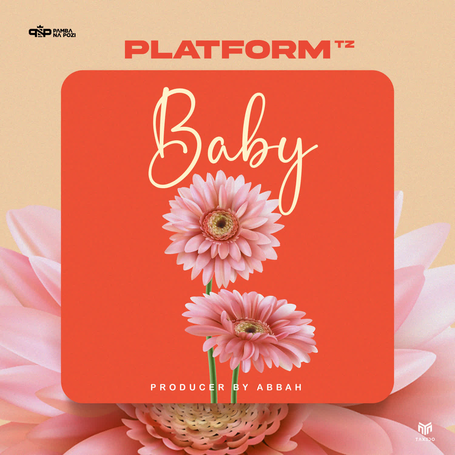 Platform Tz Baby Mp3 Download Fakaza