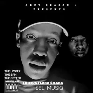 Seli MusiQ – iDimoni Laka Shaka (Underground) Mp3 Download Fakaza