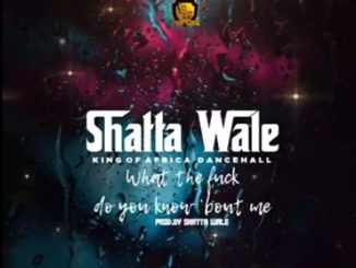 Shatta Wale – What The F*ck Do You Know About Me Mp3 Download Fakaza