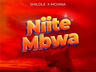 Shilole x Mchina Mweusi – Niite Mbwa