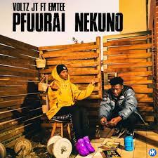 Voltz JT – Pfuurai Nekuno ft Emtee Mp3 Download Fakaza