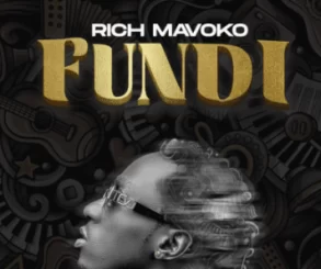 Download Rich Mavoko ft Gemini Major Fanya Urudi Mp3