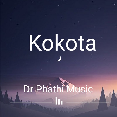 Dr Phathi Kokota Mp3 Download Fakaza