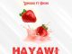 Lomodo Ft. Amini – HAYAWI Mp3 Download Fakaza