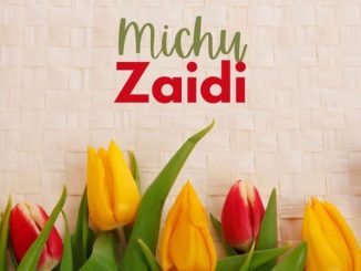 Michu – Zaidi Mp3 Download Fakaza