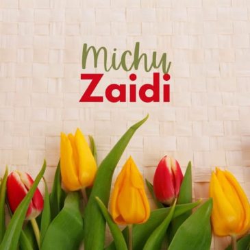 Michu – Zaidi Mp3 Download Fakaza