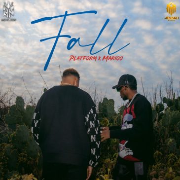 Platform Tz ft Marioo – Fall Mp3 Download Fakaza