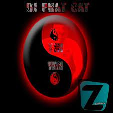 DJ Phat Cat – Yin Yan Mp3 Download Fakaza