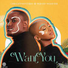 Lebza TheVillain – Want You ft. Nandi Madida Mp3 Download Fakaza