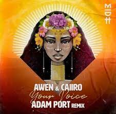 Awen & Caiiro – Your Voice (Adam Port Remix) Mp3 Download Fakaza