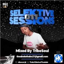 TribeSoul – Selektive Sessions 011 Mix Mp3 Download Fakaza