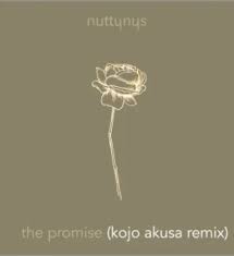 Nutty Nys – The Promise (Kojo Akusa Remix) Mp3 Download Fakaza