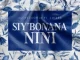 DJ Yessonia – Siy’bonana Nini ft. Juizee Mp3 Download Fakaza