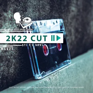 ALBUM: STI T’s Soul – 2k22 Cut (Remixes) Album Download Fakaza
