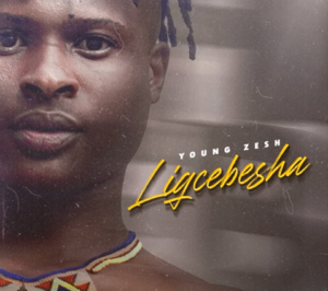 Young Zesh ft EimsoflY & Mzwandile C. Ginidza Lisondvo Liyajika Mp3 Download Fakaza